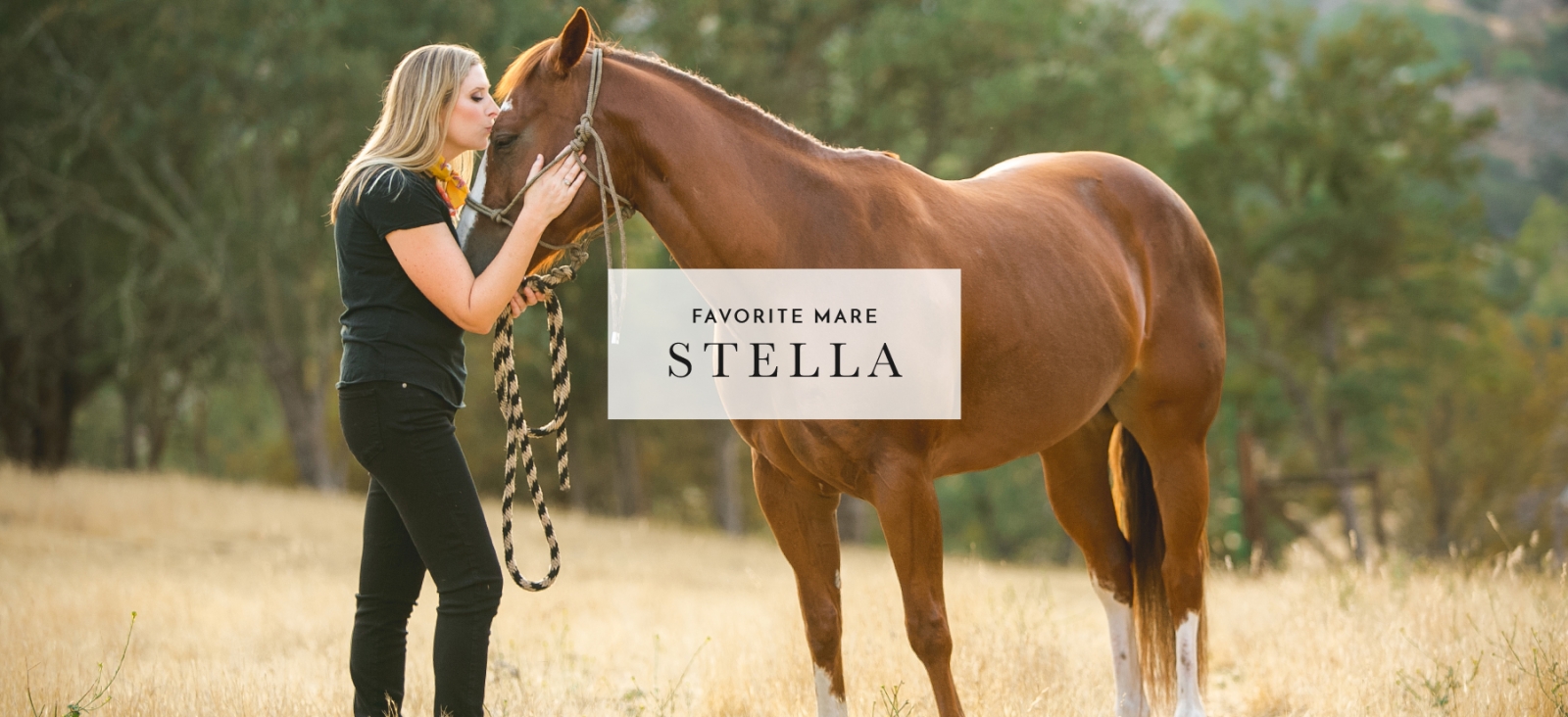 womand and mare in field by San Luis Obispo Photographer Elizabeth Hay Photography