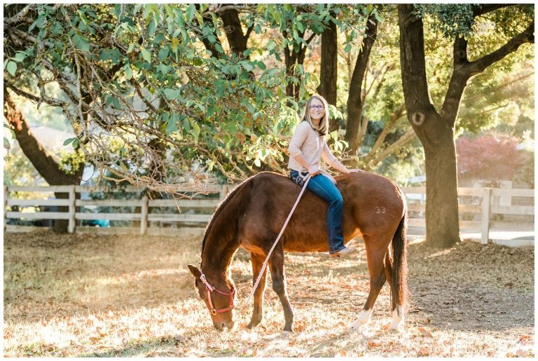 equine photography by Elizabeth Hay