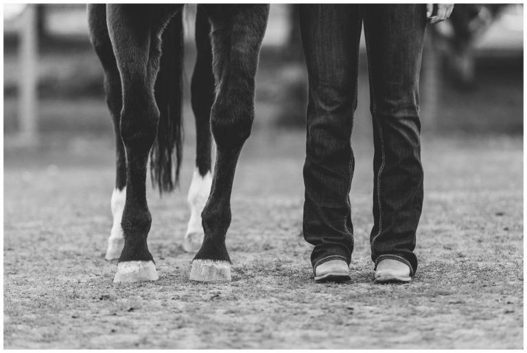 Horse hooves and boots