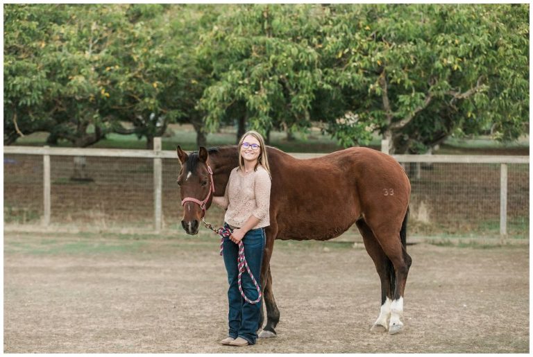 Equine Photography by Elizabeth Hay