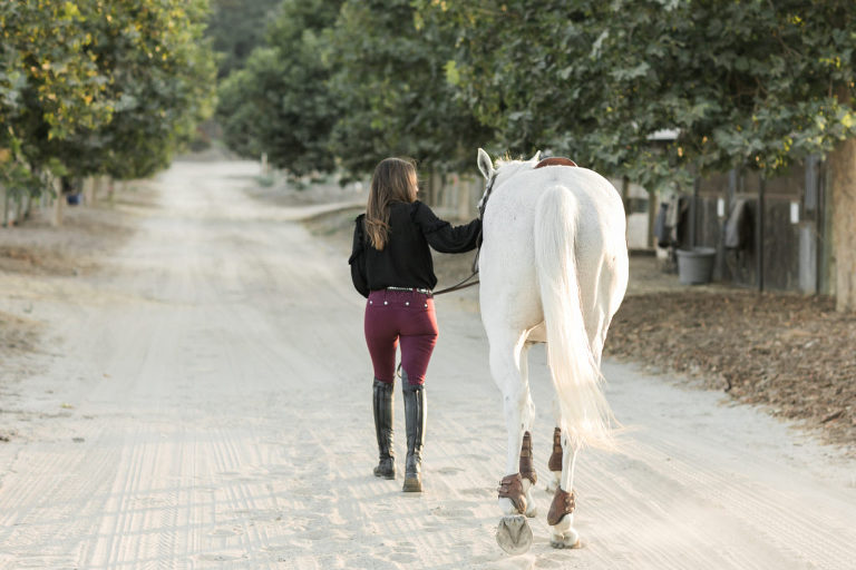 Oak Park Equestrian Session with California Equine Photographer Elizabeth Hay Photography