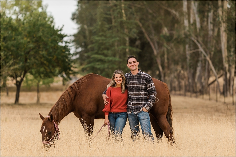 equine photography family session by Elizabeth Hay Photography