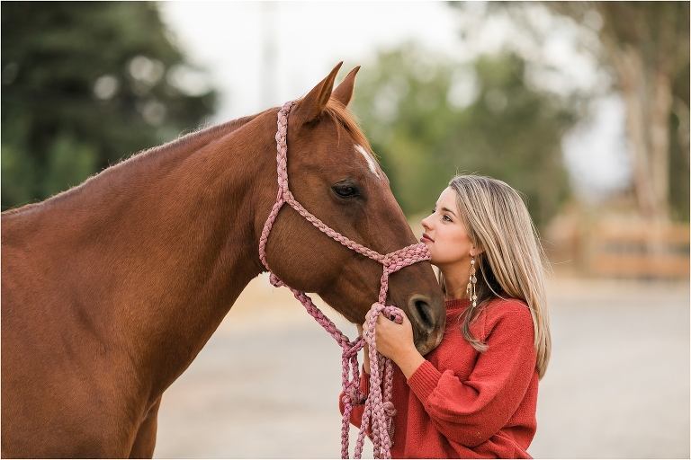 girl gazing at her chestnut mare by California Equine Photographer Elizabeth Hay Photography