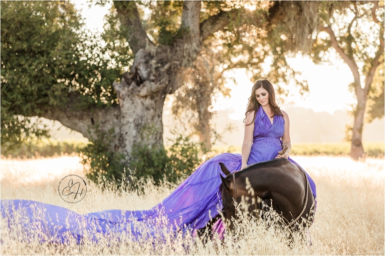 model wearing a purple parachute dress riding a dark horse in a golden field during an Elizabeth Hay Photography Workshop