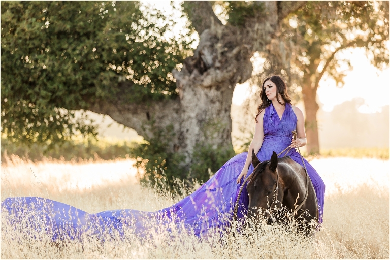 model wearing a purple parachute dress riding a dark horse in a golden field during an equine photography workshop