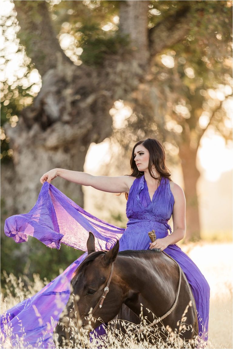 model wearing a purple parachute dress riding a dark horse in a golden field during an equine photography workshop