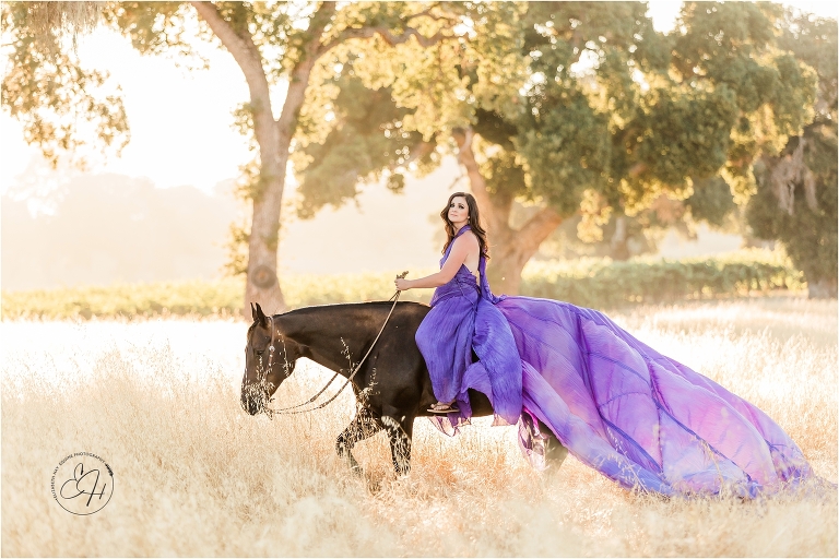 model wearing a purple parachute dress riding a dark horse in a golden field during an equine photography workshop