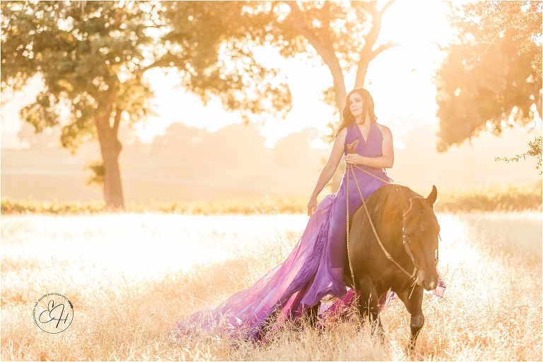 woman wearing a purple parachute dress riding a black gelding in a golden field during an equine photography workshop