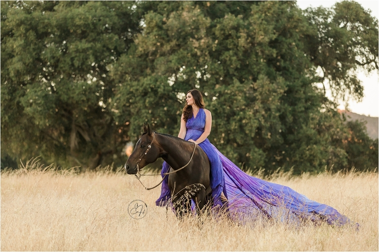 woman riding a black horse in a purple parachute dress during a California Equine Photography Workshop
