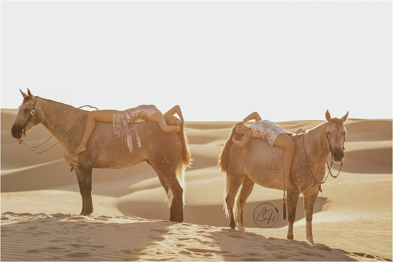 Two grey horses at the Pismo Beach Dunes by Elizabeth Hay Photography