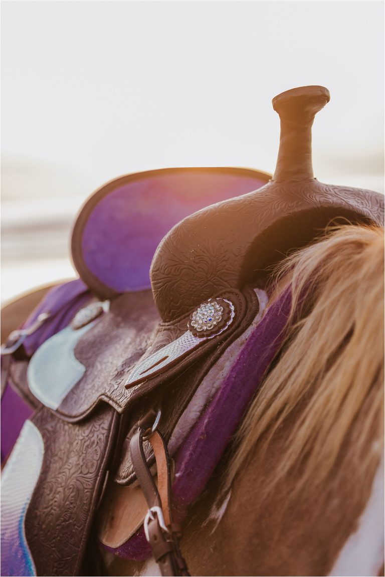 Riding Free Tack Saddle at Morro Bay by Elizabeth Hay California Equine Photographer