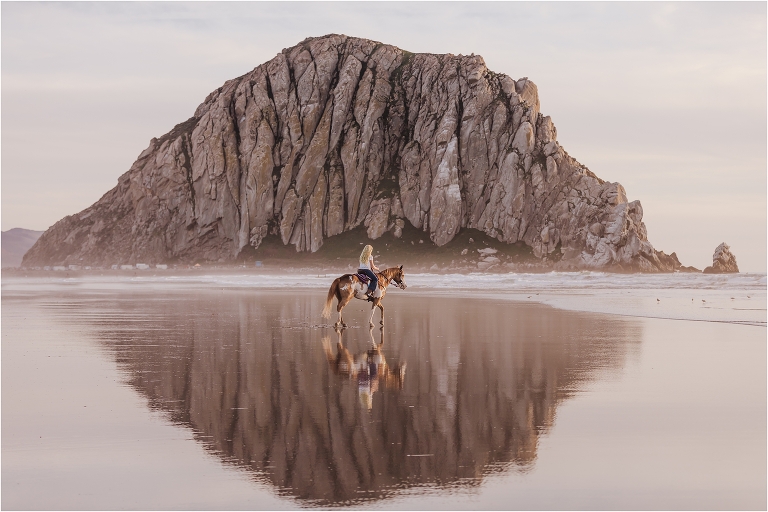Central Coast Equine Photography Session with Elizabeth Hay Photography and Riding Free Tack