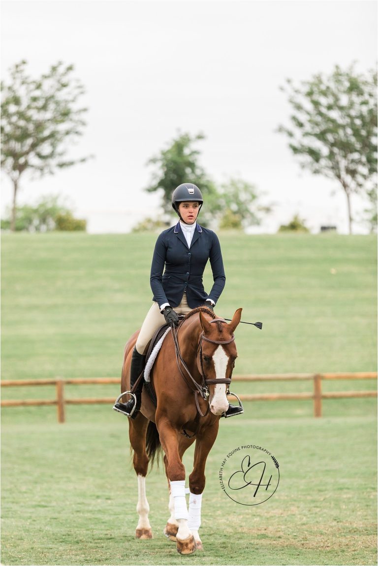 Horse and Rider in the Horse show warm up ring in Paso Robles by Elizabeth Hay Photography
