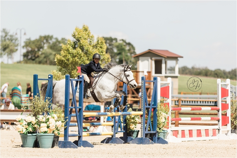 Horse and Rider show jumping in Paso Robles California by Elizabeth Hay Photography