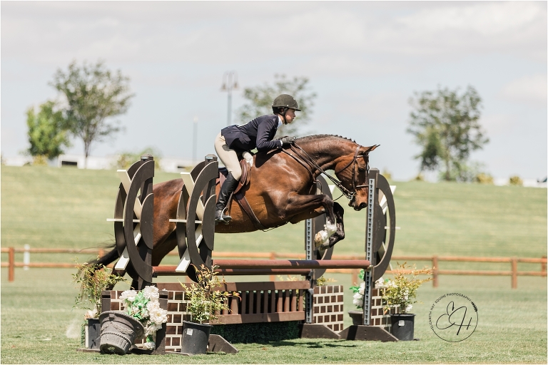 hunter rider jumping a fence on turf course in Paso Robles, California