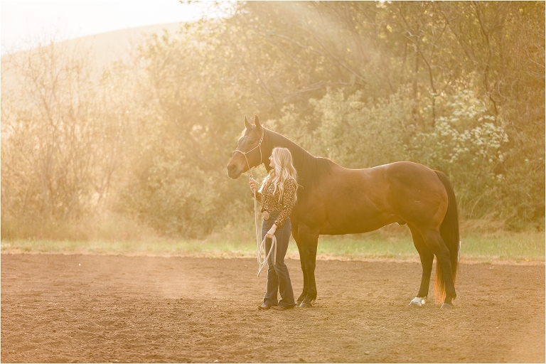 Morro Bay Equine Photography session by California Equine Photographer Elizabeth Hay