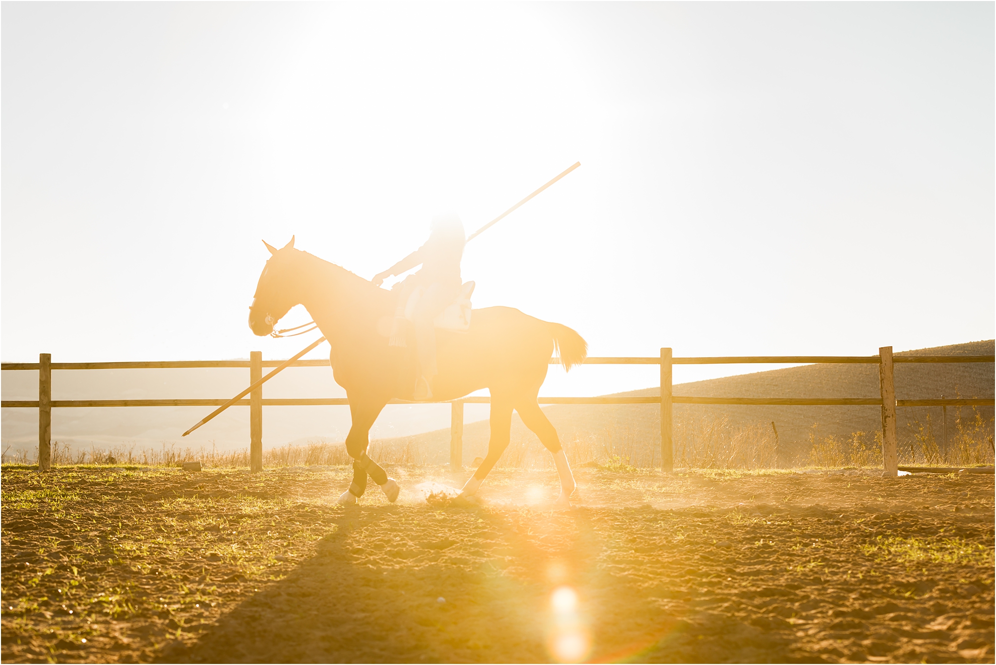 California Equine Photography in Spain - Elizabeth Hay Photography