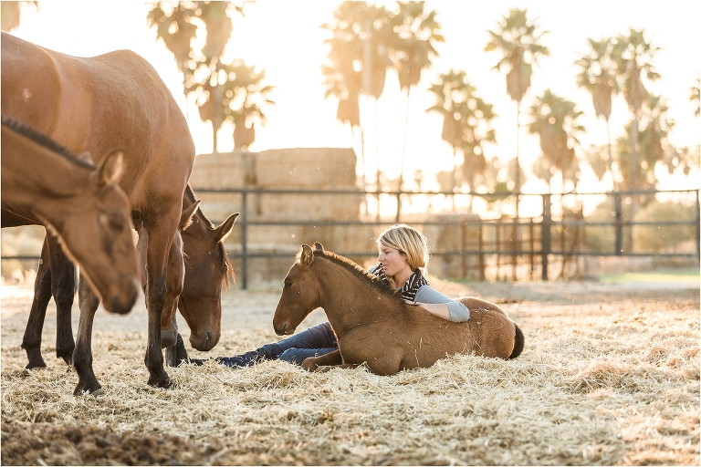 Andalusian mares and foals image from a California Equine Photography trip with Elizabeth Hay