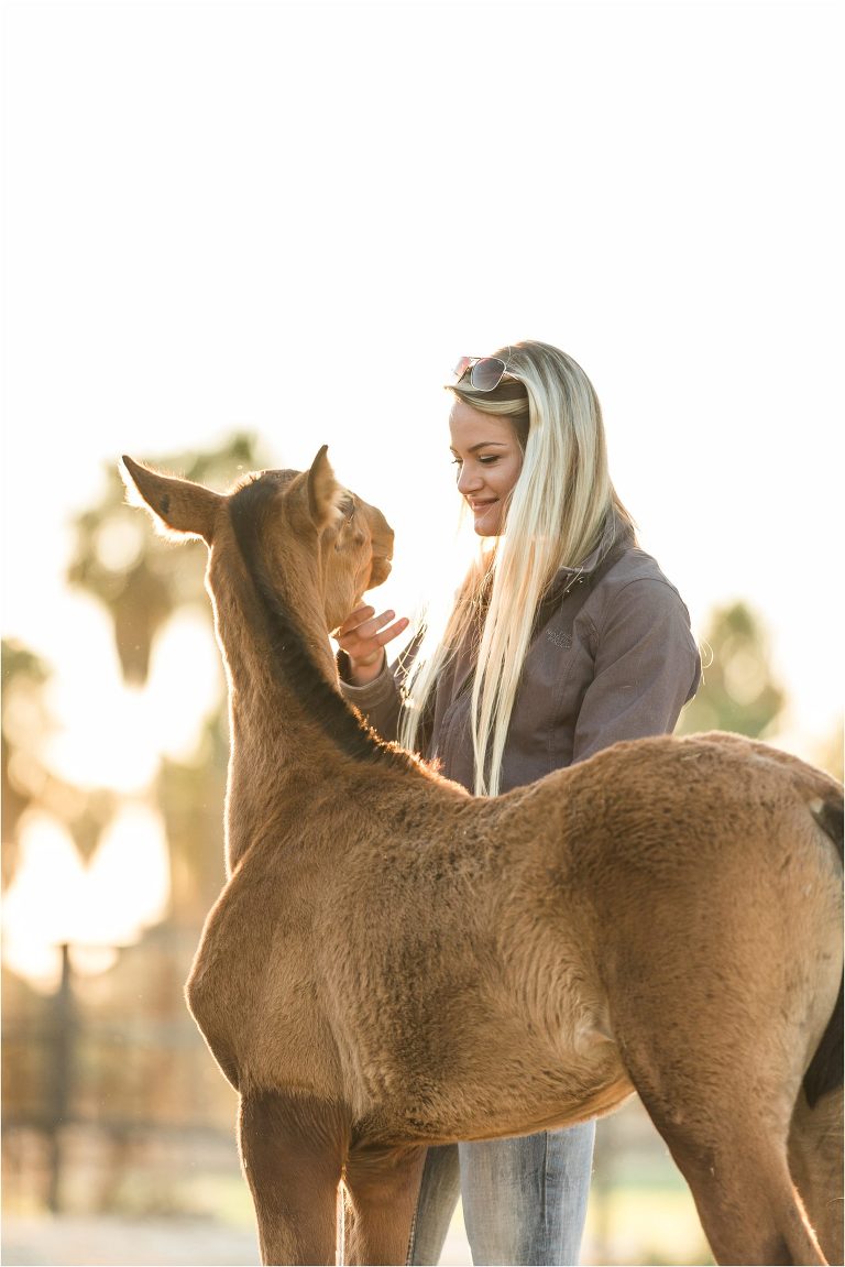 Andalusian foal image from a California Equine Photography trip with Elizabeth Hay