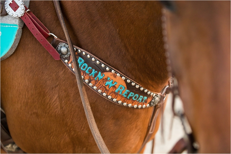 RockN W Report horse breast collar by California Equine Photographer Elizabeth Hay Photography
