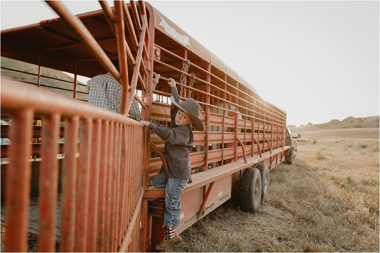 young cowboy hangs off the side of a red horse trailer playing