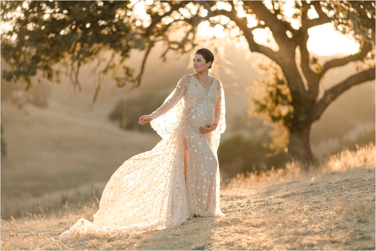 pregnant woman wearing a nude colored star print dress by Elizabeth Hay Photography
