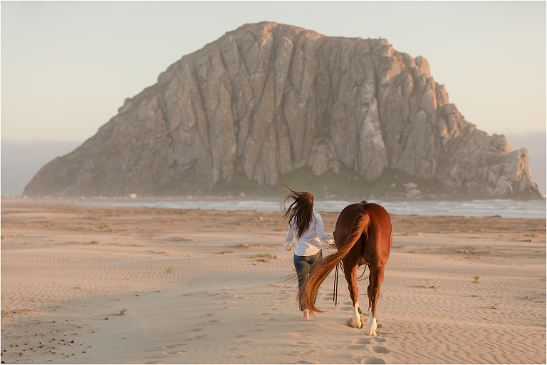 San Luis Obispo Senior photographer session with Cal Poly Student and horse by Elizabeth Hay Photography with Morro rock in the background
