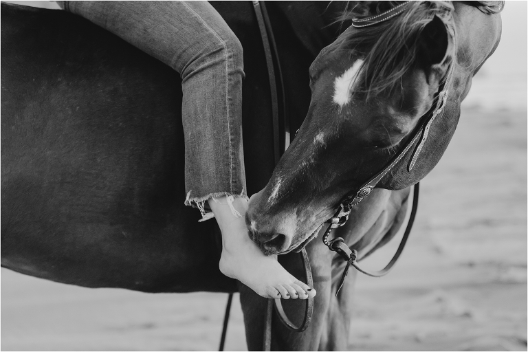 San Luis Obispo Senior photographer session with Cal Poly Student and horse by Elizabeth Hay Photography