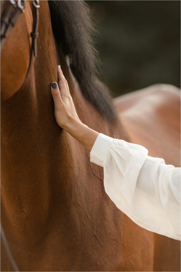 Santa Barbara Equestrian Shoot with girl petting bay horse Elizabeth Hay Photography