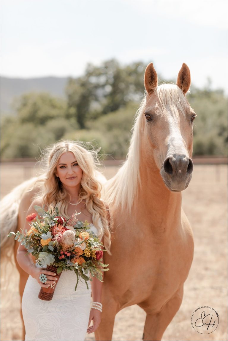 ranch bride and palomino gelding before her Morro Bay Ranch wedding by Elizabeth Hay Photography