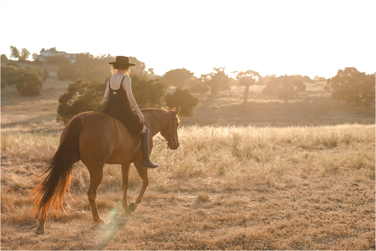Milton Menasco x Celeris UK bespoke riding boot equestrian fashion shoot by Elizabeth Hay Photography with sorrel mare in golden field at sunset