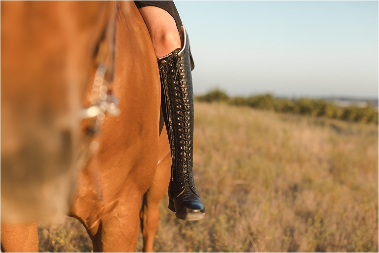 Milton Menasco x Celeris UK bespoke riding boot equestrian fashion shoot by California Equine Photographer Elizabeth Hay Photography with sorrel horse in golden field at sunset
