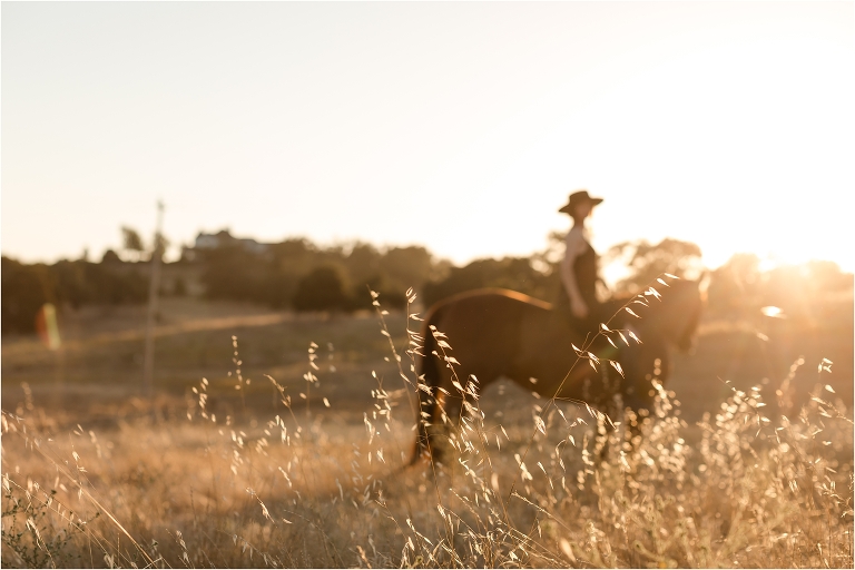 woman on horse in golden field at sunset by California Equine Photographer Elizabeth Hay Photography