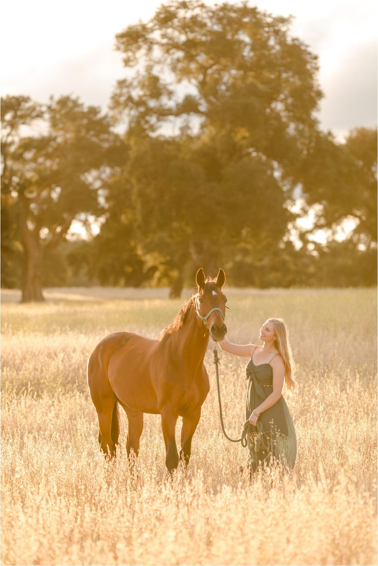 Equine Senior session with a girl and her horse in a golden field by California Equine Photographer Elizabeth Hay Photography.
