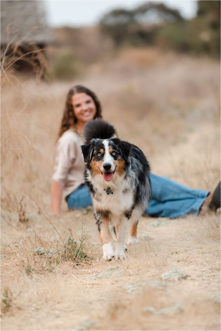 graduating senior girl and her Austrian shepherd dog by Elizabeth Hay Photography