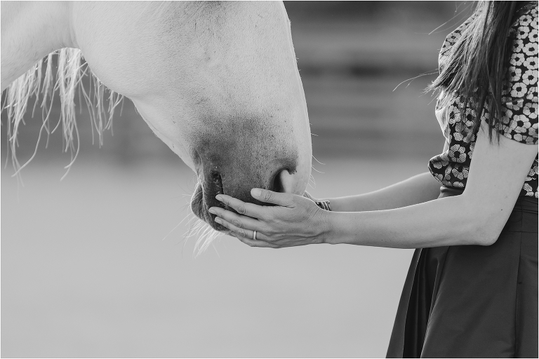 woman holding muzzle of grey Lusitano at the Woodside Horse Park by California Equine Photographer Elizabeth Hay Photography
