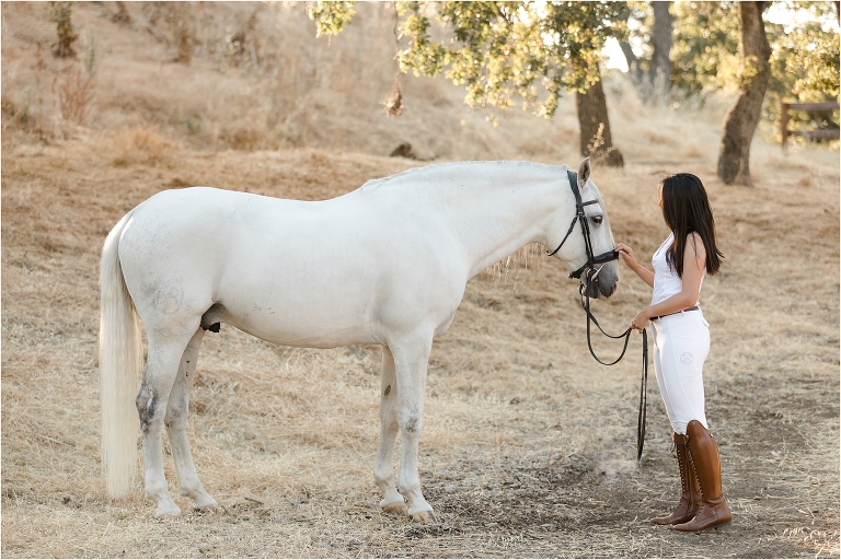 Woodside Equestrian Photo Session with woman and horse at the Horse Park at Woodside by California Equine Photographer, Elizabeth Hay Photography.