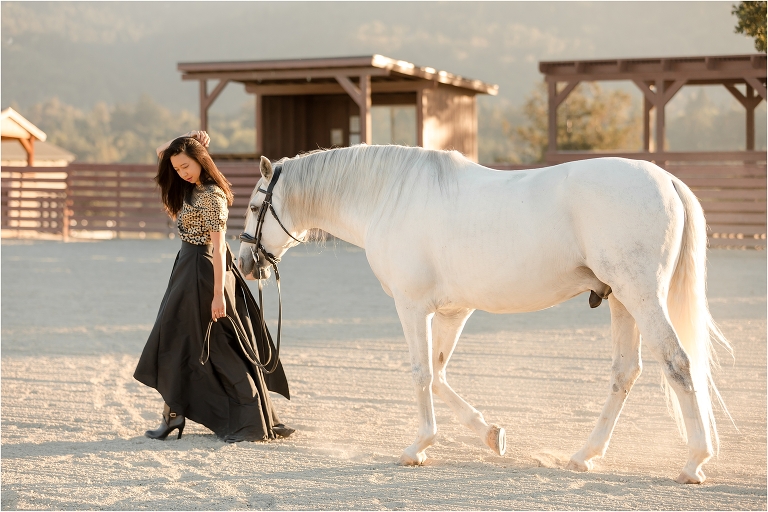 Woodside Equestrian Photo Session with woman and lusitano horse at the Horse Park at Woodside by California Equine Photographer, Elizabeth Hay Photography.