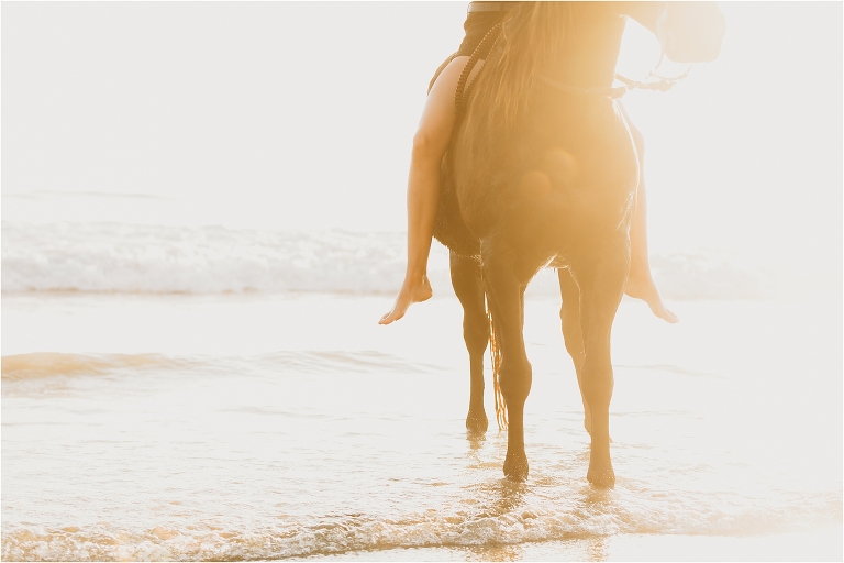 Santa Barbara Equine Session on the beach with California Equine Photographer Elizabeth Hay Photography with a woman riding her horse. 