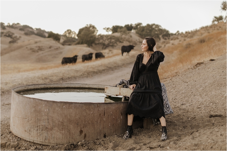 Woman wearing a black Ulla Johnson dress while sitting on a pasture water trough surrounded by cows by California Equine Photographer Elizabeth Hay Photography. 