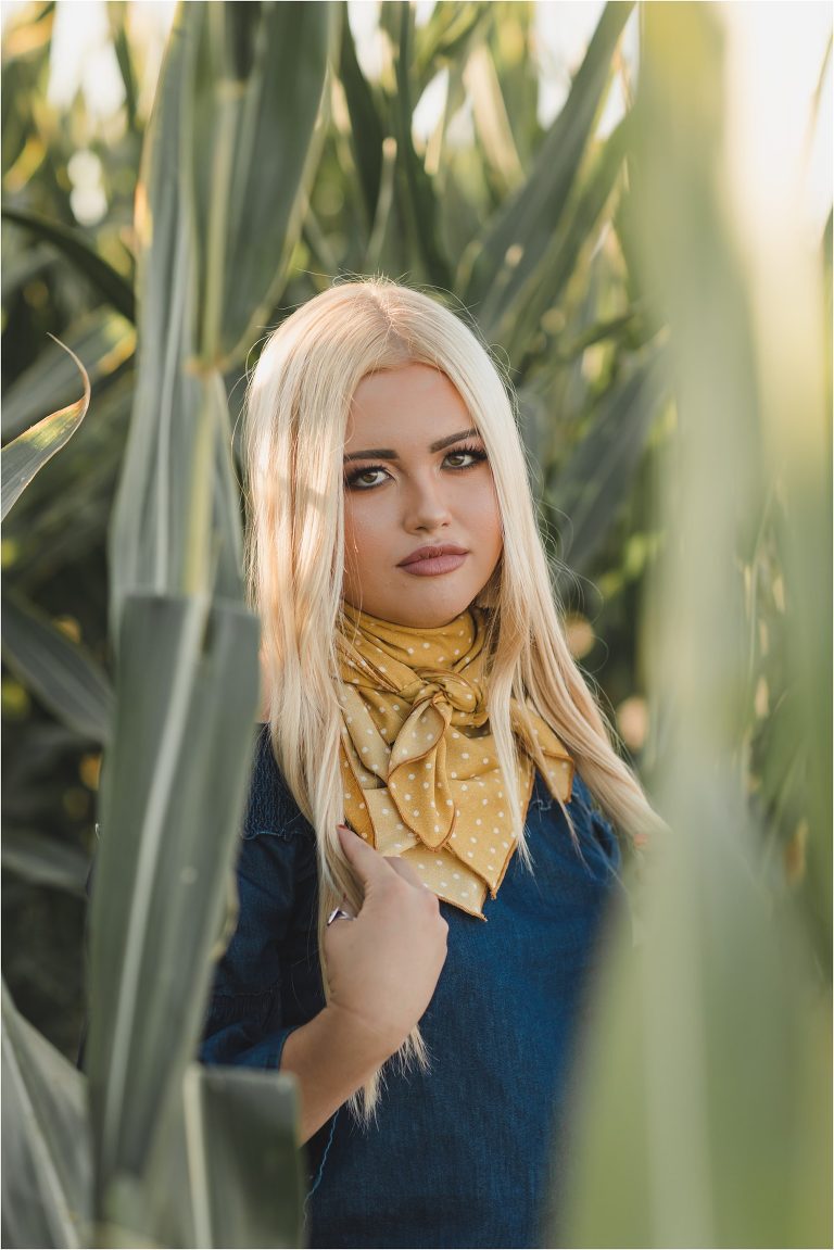 Buck Wild Rags shoot in a corn field with a blonde girl and yellow wild rag by Elizabeth Hay Photography. 