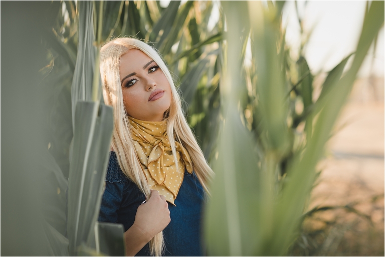 Buck Wild Rags shoot in a corn field by Elizabeth Hay Photography with blonde girl and yellow wild rag. 