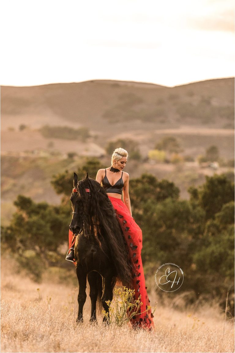 California Equine Photography workshop by April Visel in Santa Ynez, California with images of woman and friesian horse in field by Elizabeth Hay Photography.