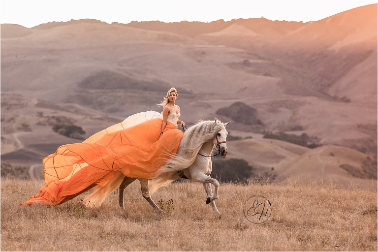 California Equine Photography workshop by April Visel in Santa Ynez, California with images of woman and Andalusian horse in field by Elizabeth Hay Photography.