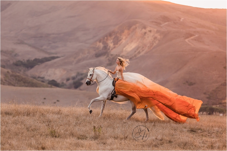 California Equine Photography workshop by April Visel in Santa Ynez, California with images of woman and Andalusian stallion in field by Elizabeth Hay Photography.