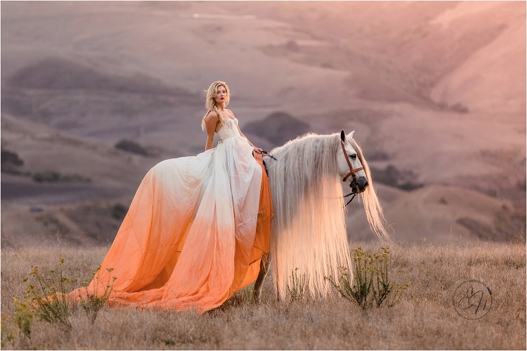California Equine Photography workshop by April Visel in Santa Ynez, California with images of woman and Andalusian stallion standing in a field by Elizabeth Hay Photography.