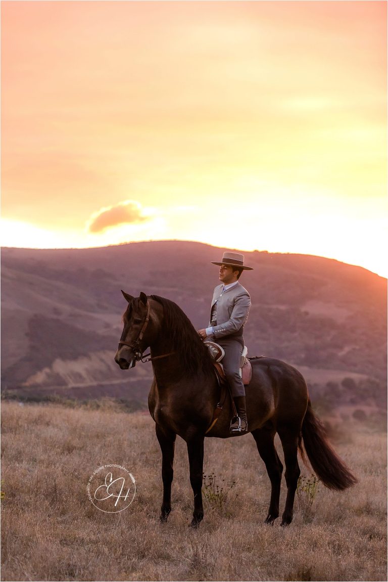 California Equine Photography workshop by April Visel in Santa Ynez, California with image of Spaniard and Andalusian stallion in field by Elizabeth Hay Photography.