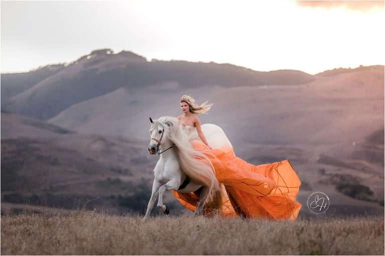 woman wearing orange parachute dress while cantering an Andalusian stallion shot by California Equine Photographer Elizabeth Hay Photography. 