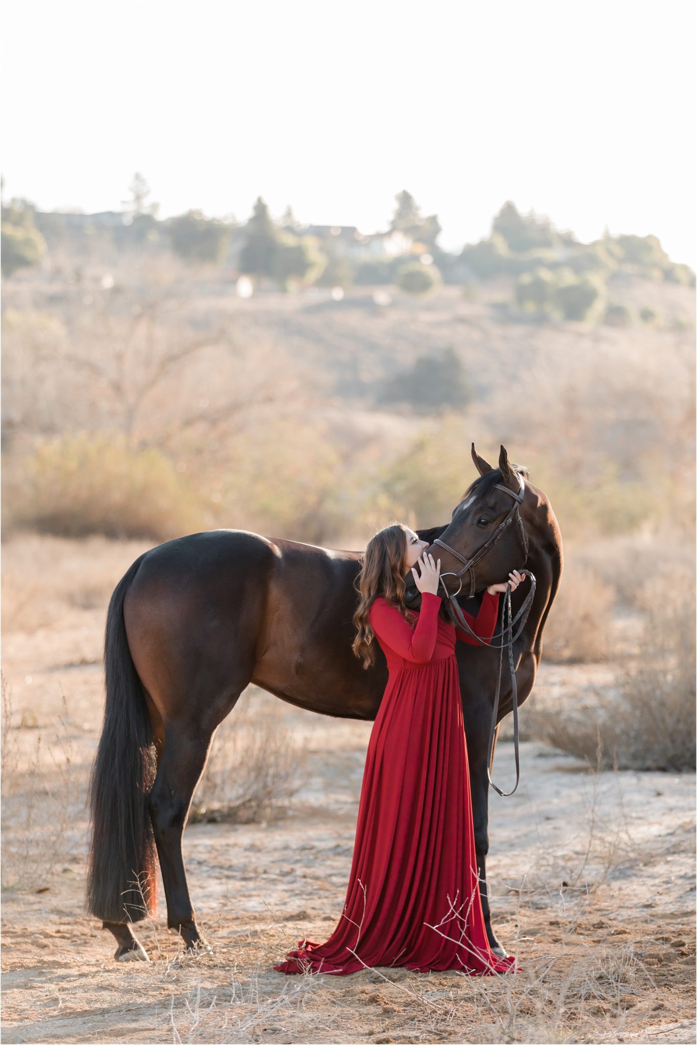 California Horse Photography Shoot - Elizabeth Hay Photography