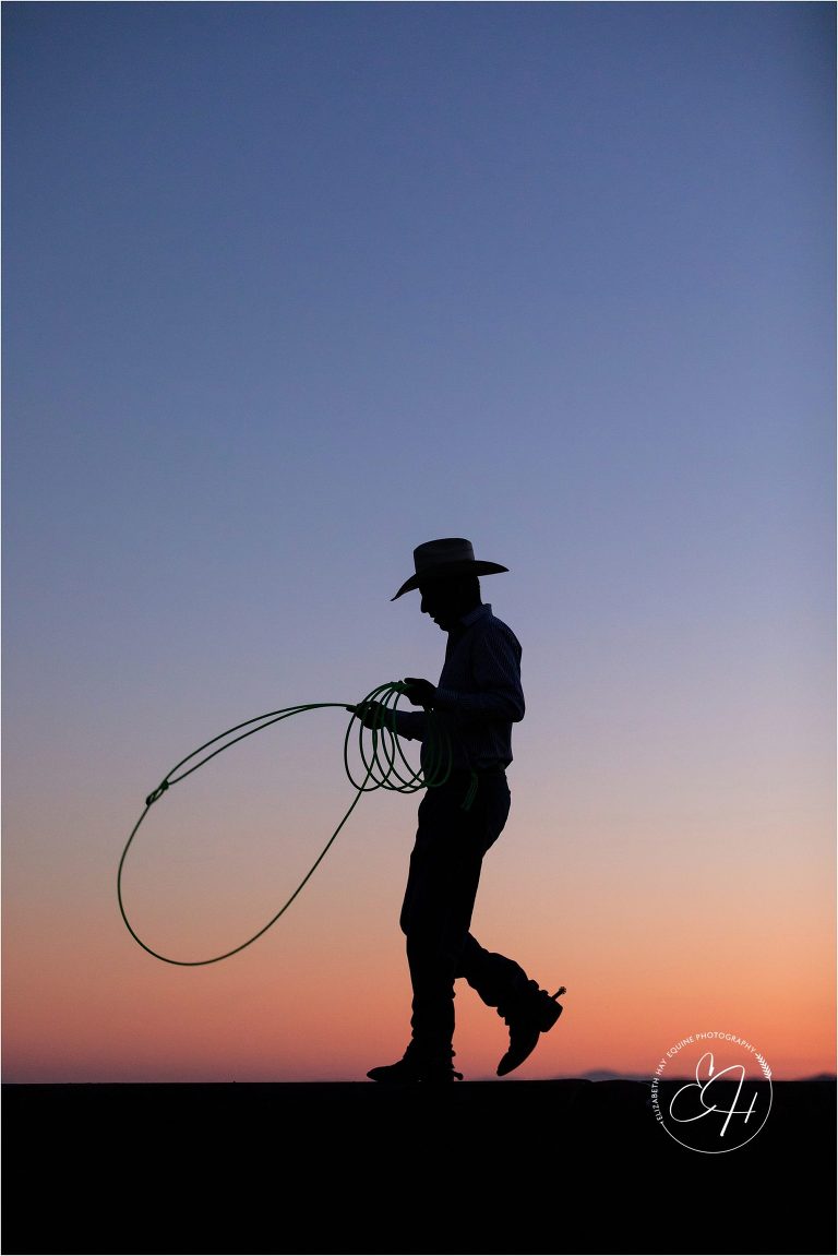 sunset silhouette of western roper by California Horse Photographer Elizabeth Hay Photographer